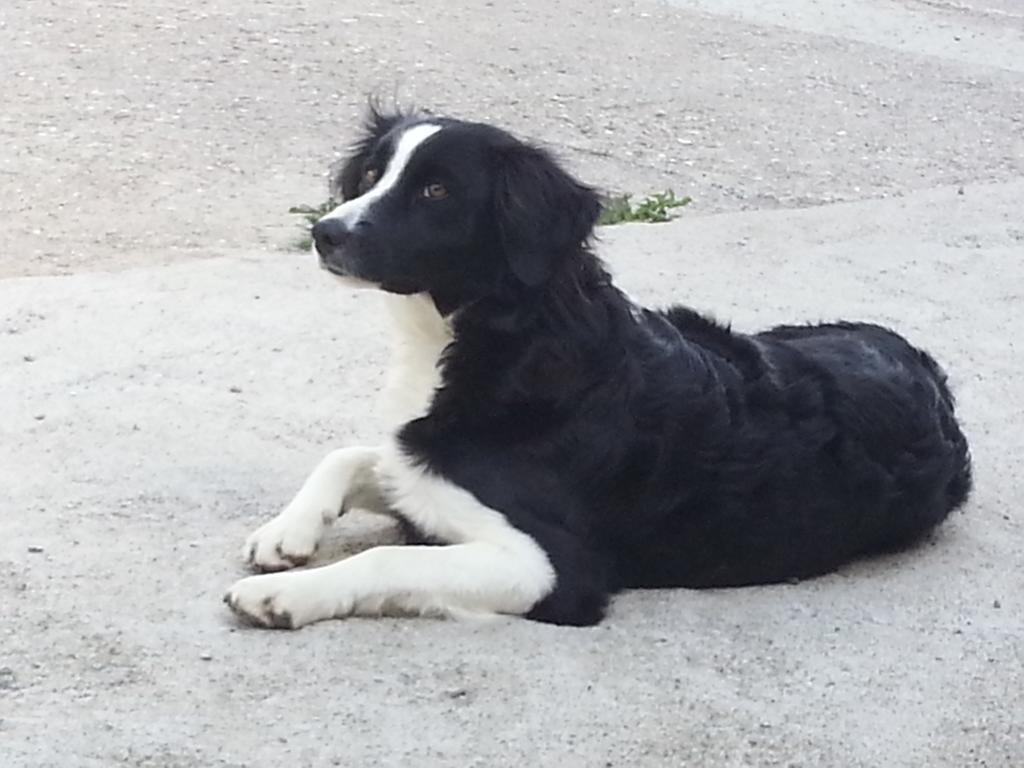 Neu-Schoetzerhof Meltina Bagian luar foto
